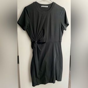Alexander Wang Jersey Shirt Dress
